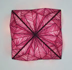 Zooid 1M Wall & Ceiling Light