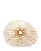 Sahara Wall & Ceiling Light