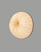 Sahara Wall & Ceiling Light