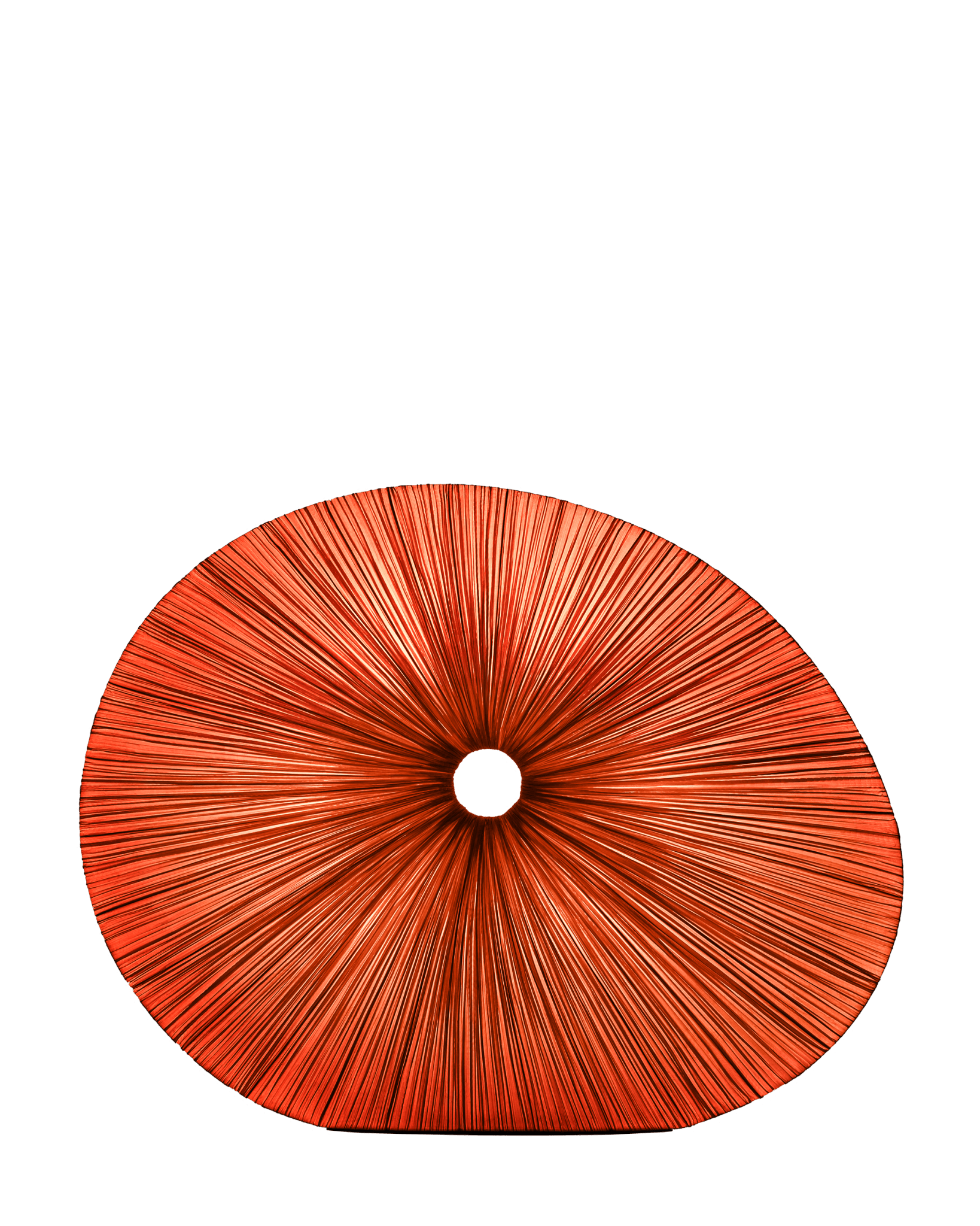 Sahara Wall & Ceiling Light