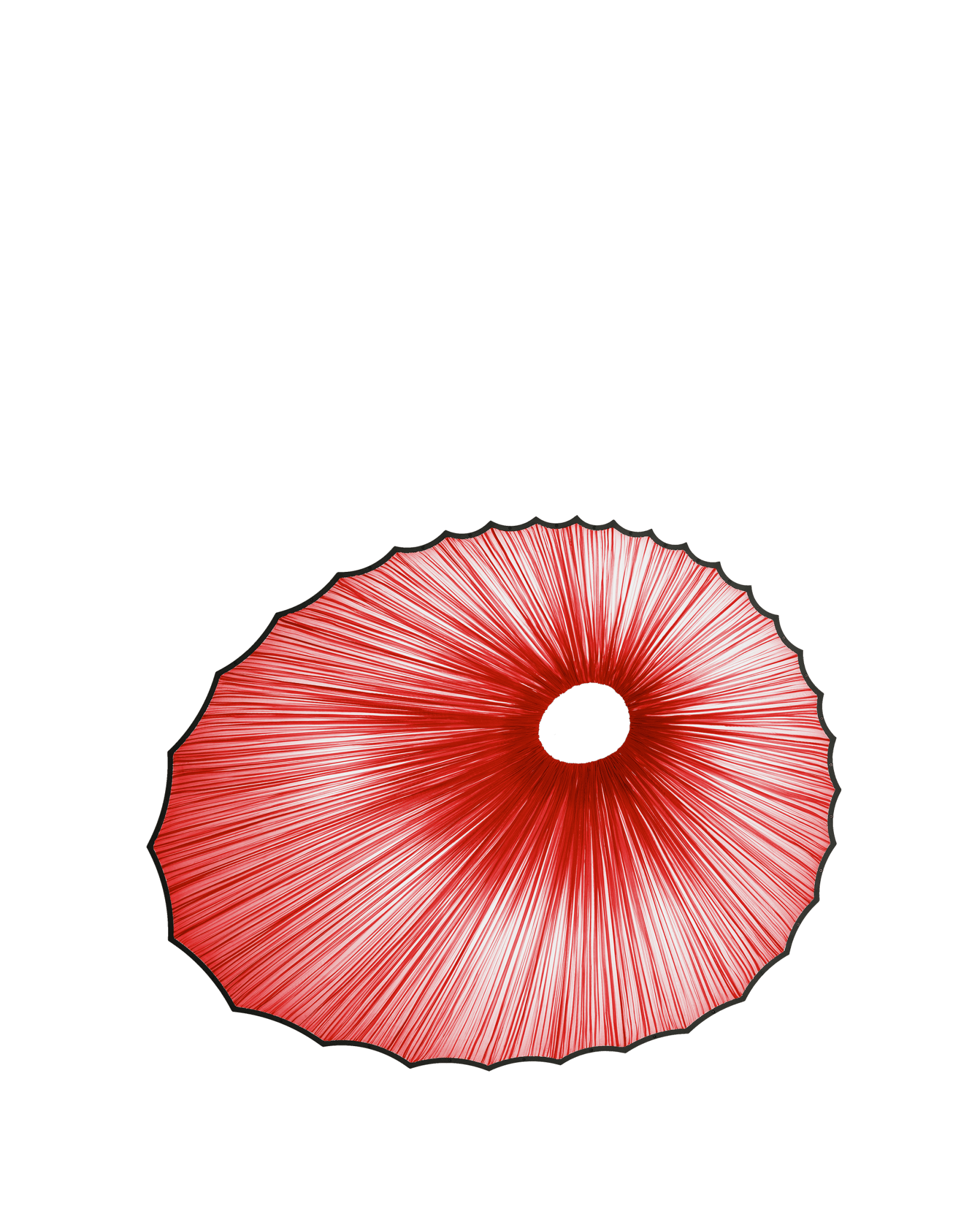 Sikus Wall & Ceiling Light