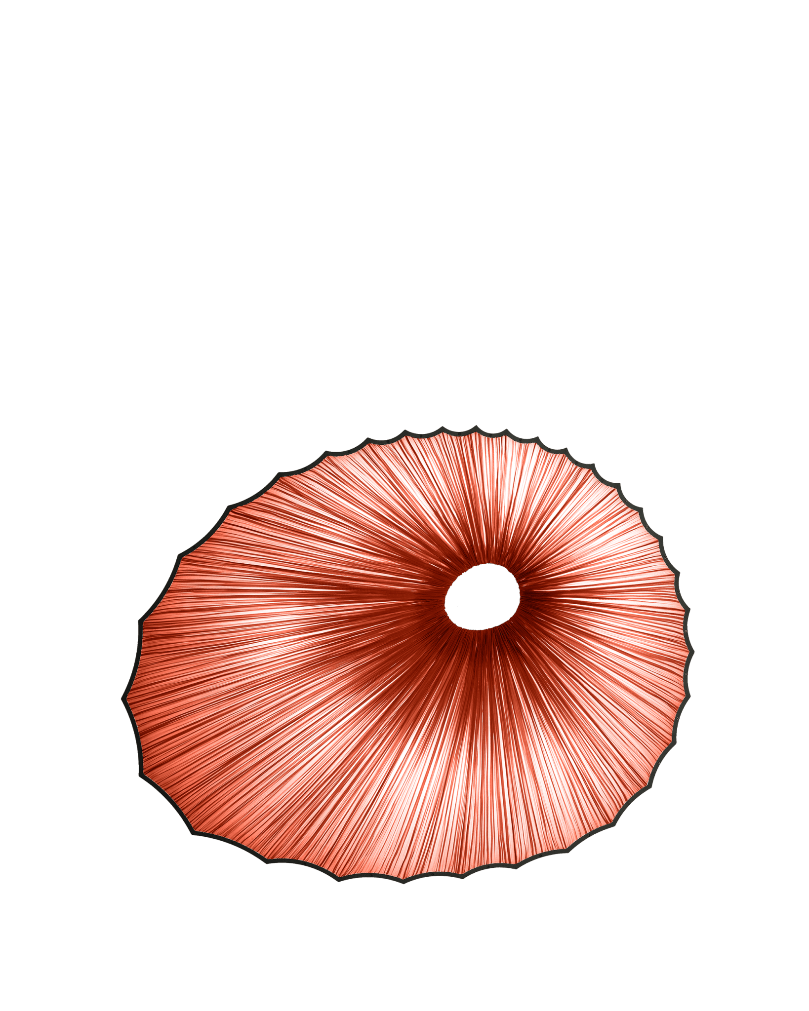 Sikus Wall & Ceiling Light