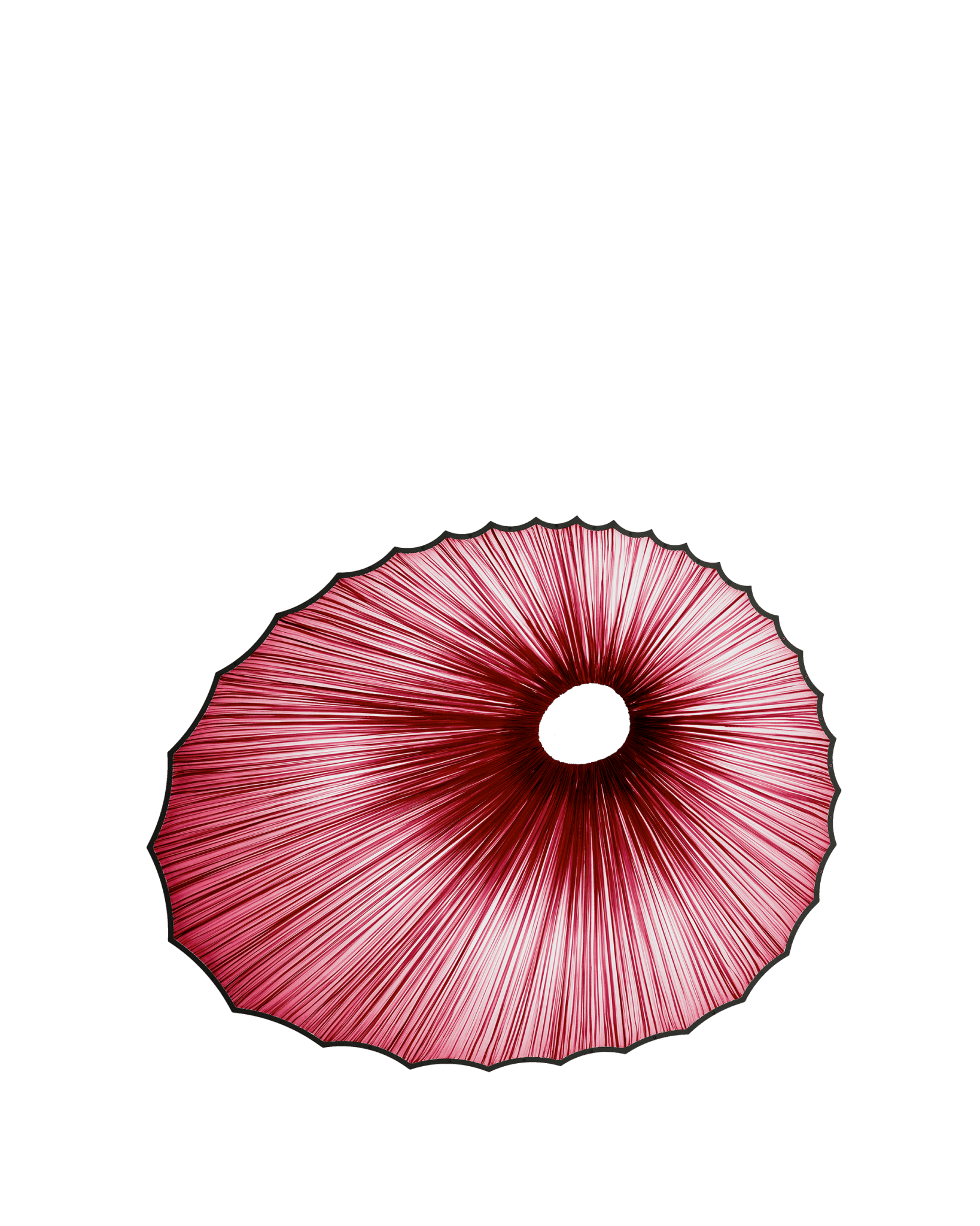 Sikus Wall & Ceiling Light