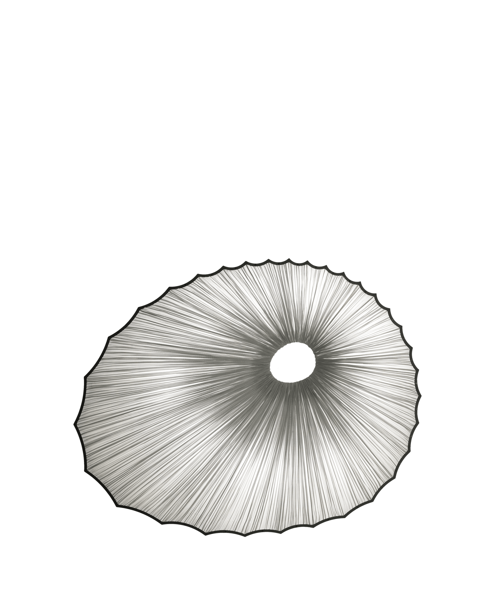 Sikus Wall & Ceiling Light