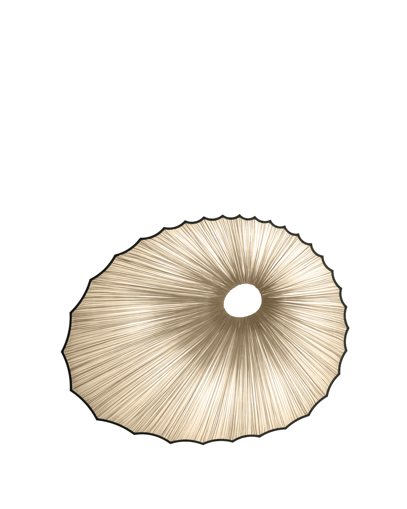 Sikus Wall & Ceiling Light