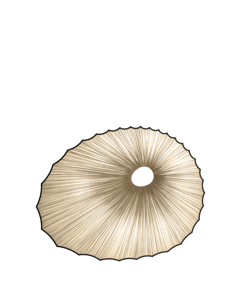 Sikus Wall & Ceiling Light