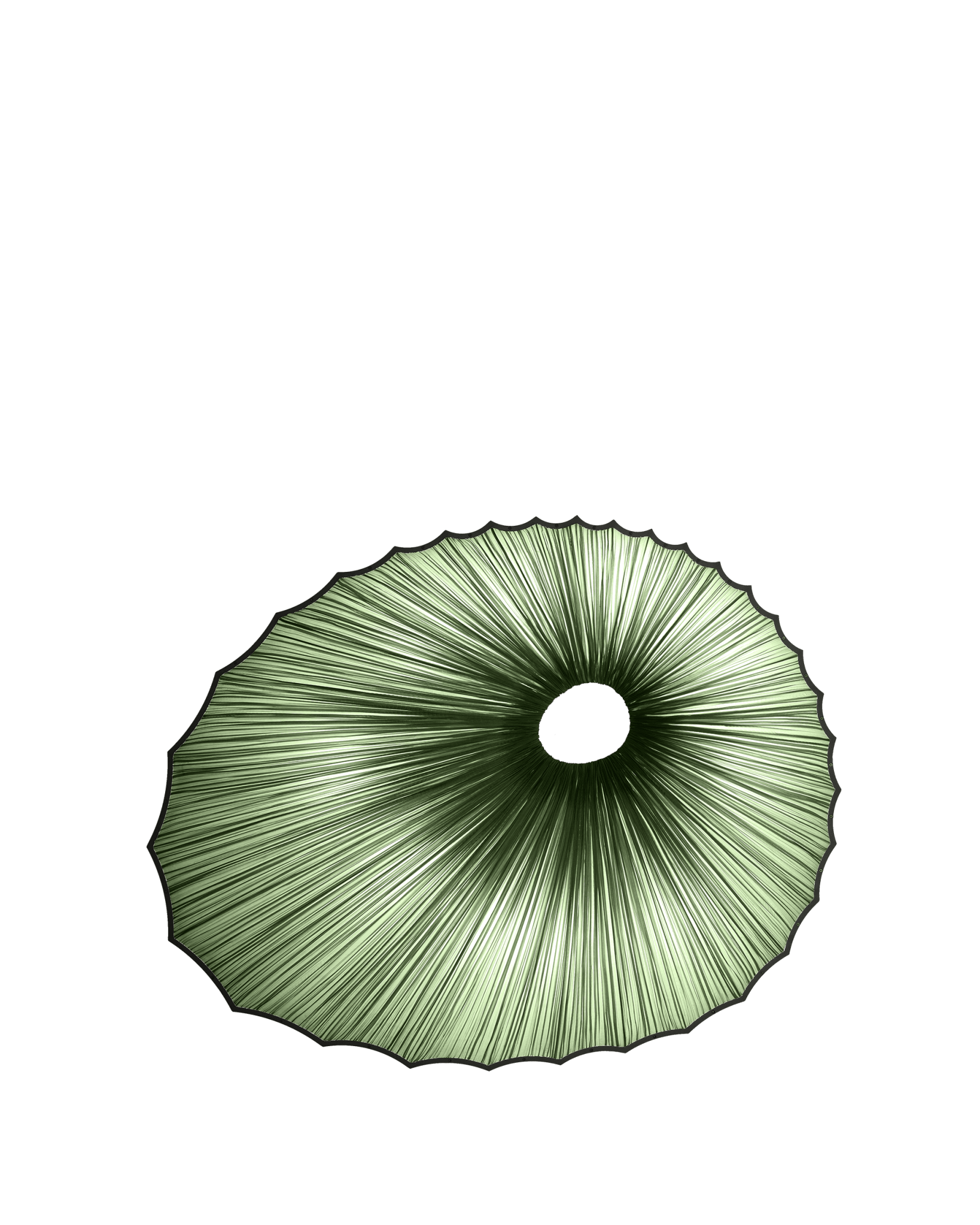 Sikus Wall & Ceiling Light