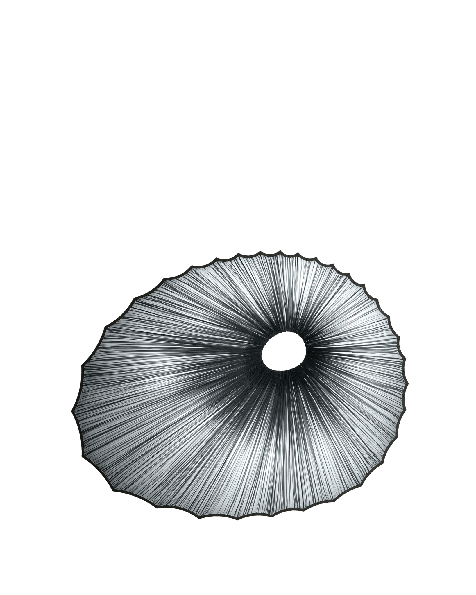 Sikus Wall & Ceiling Light