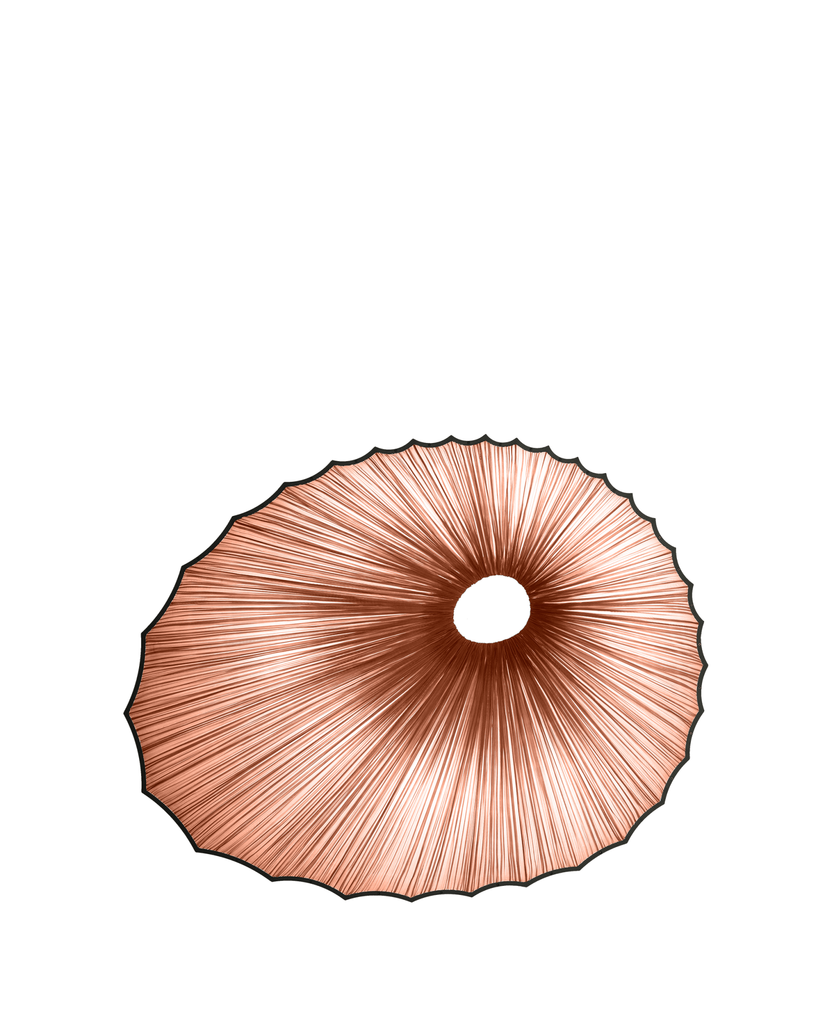 Sikus Wall & Ceiling Light