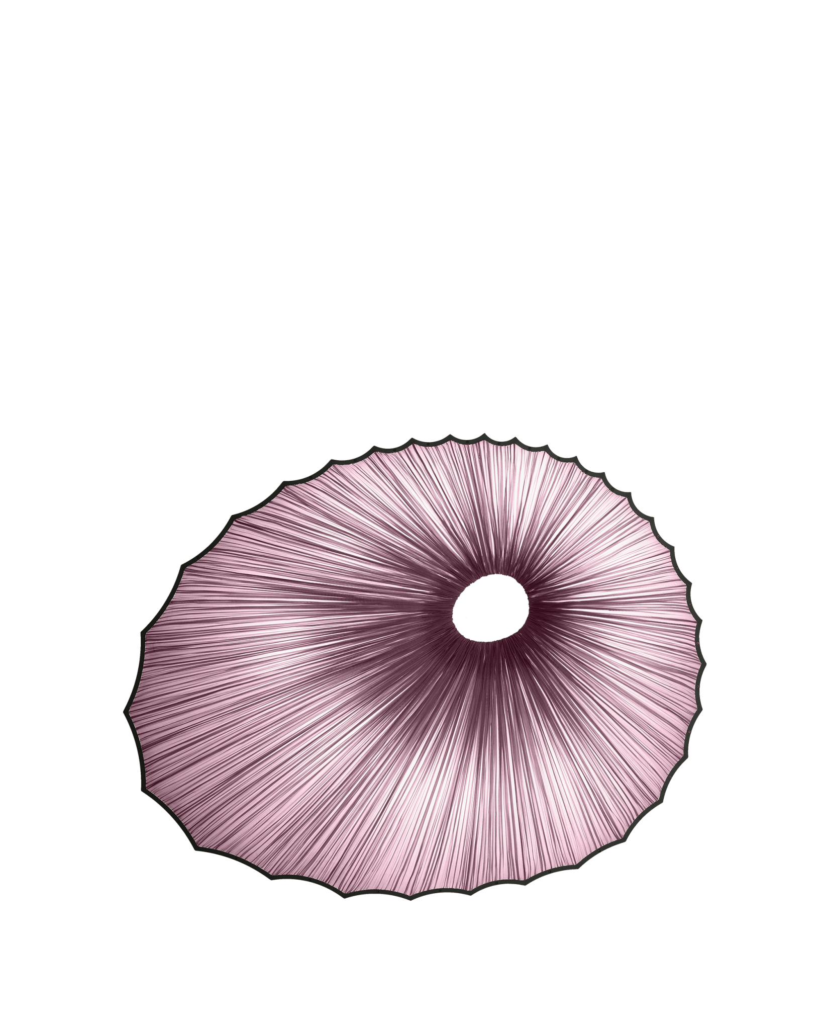 Sikus Wall & Ceiling Light