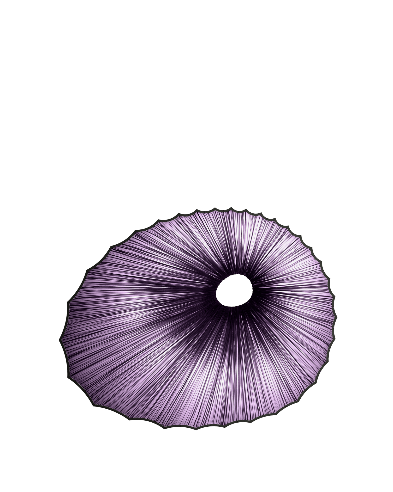 Sikus Wall & Ceiling Light