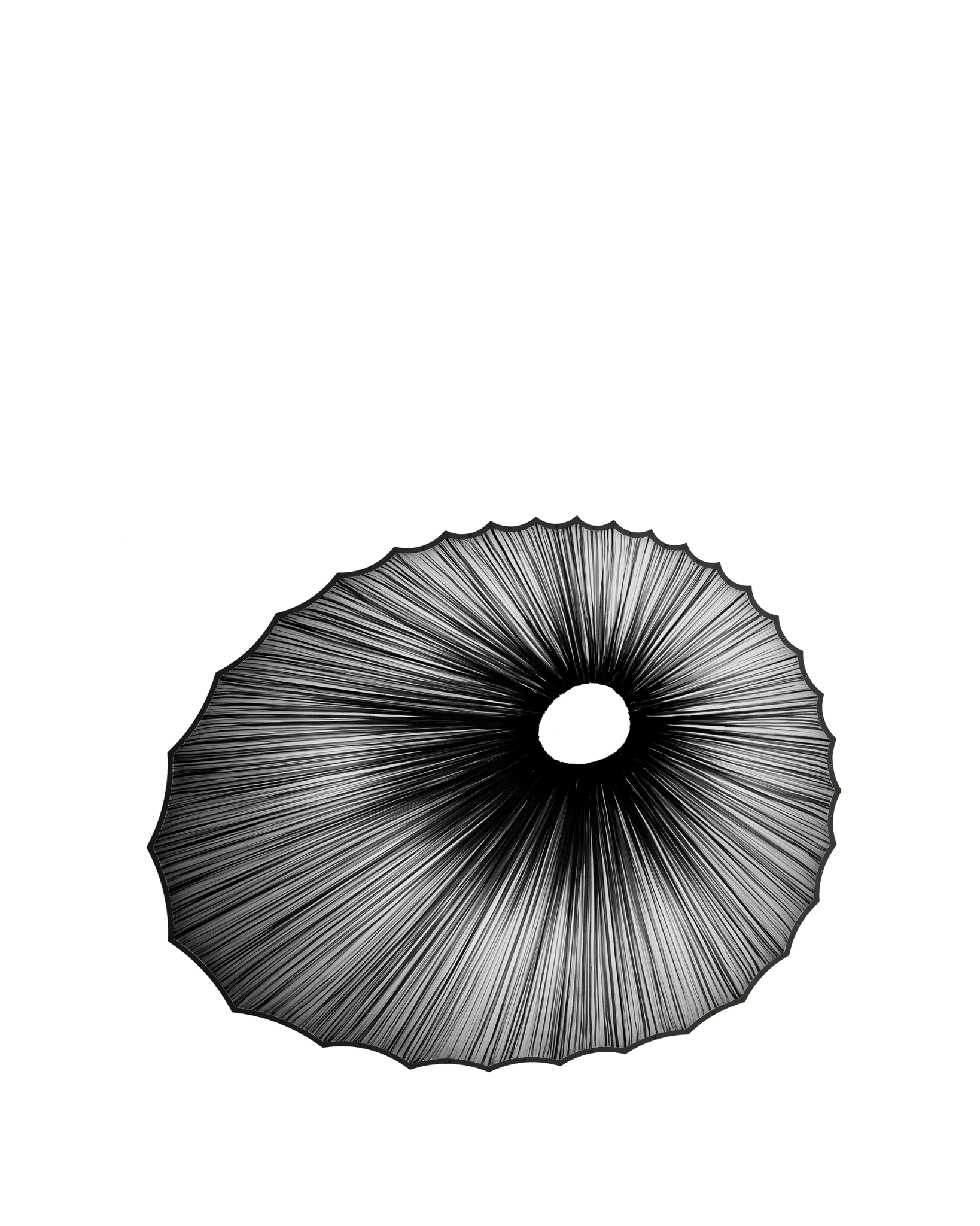 Sikus Wall & Ceiling Light