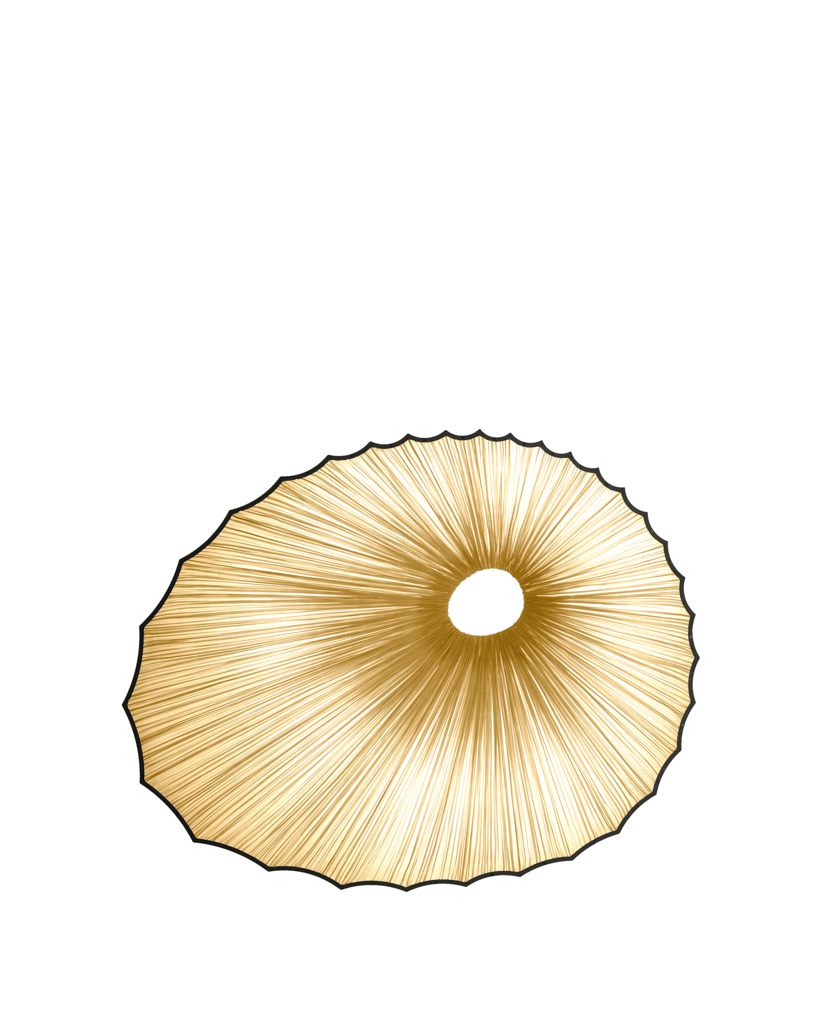 Sikus Wall & Ceiling Light