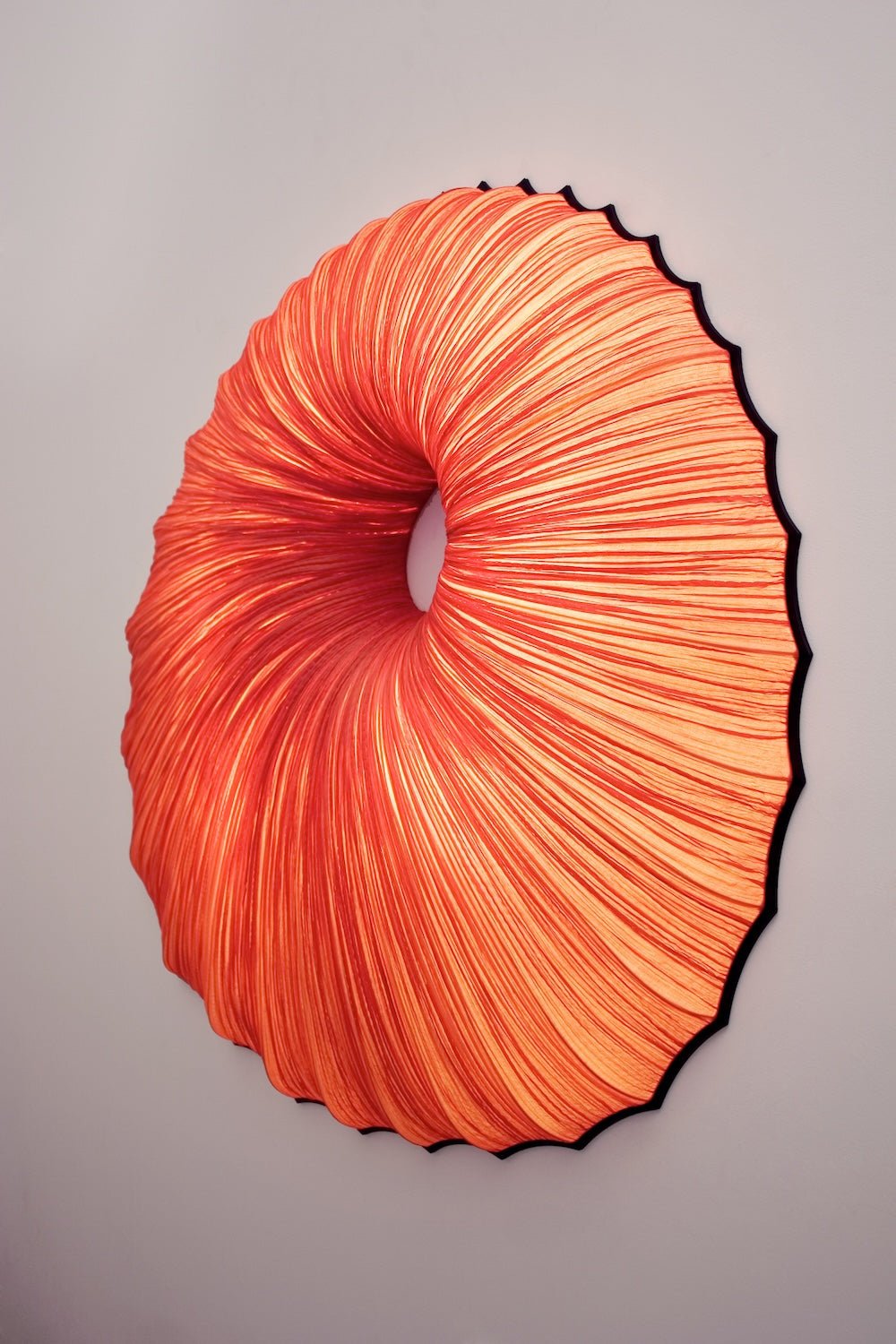 Sikus Wall & Ceiling Light