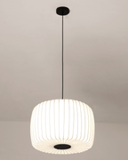 Te Pendant Light