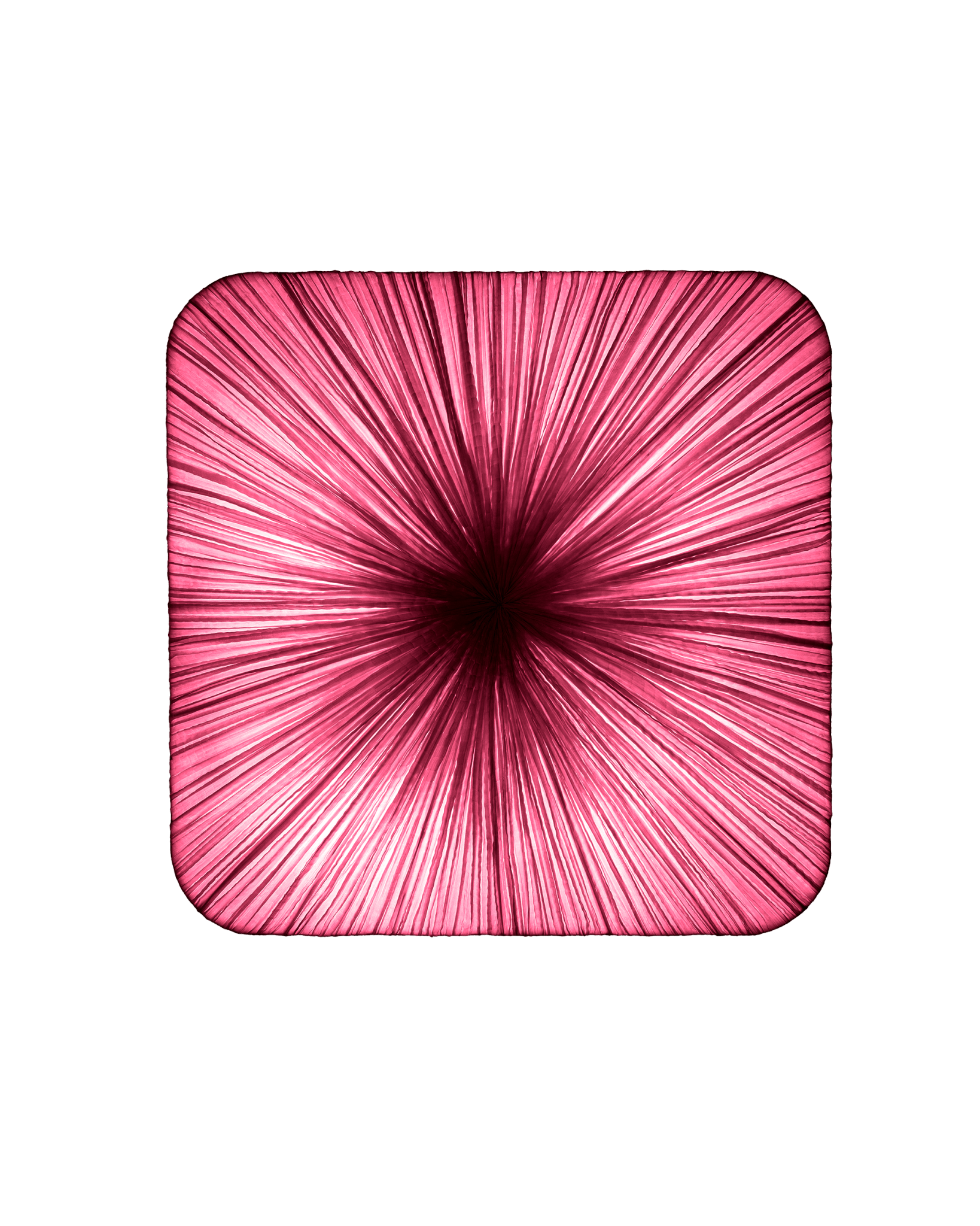 Young Wall & Ceiling Light