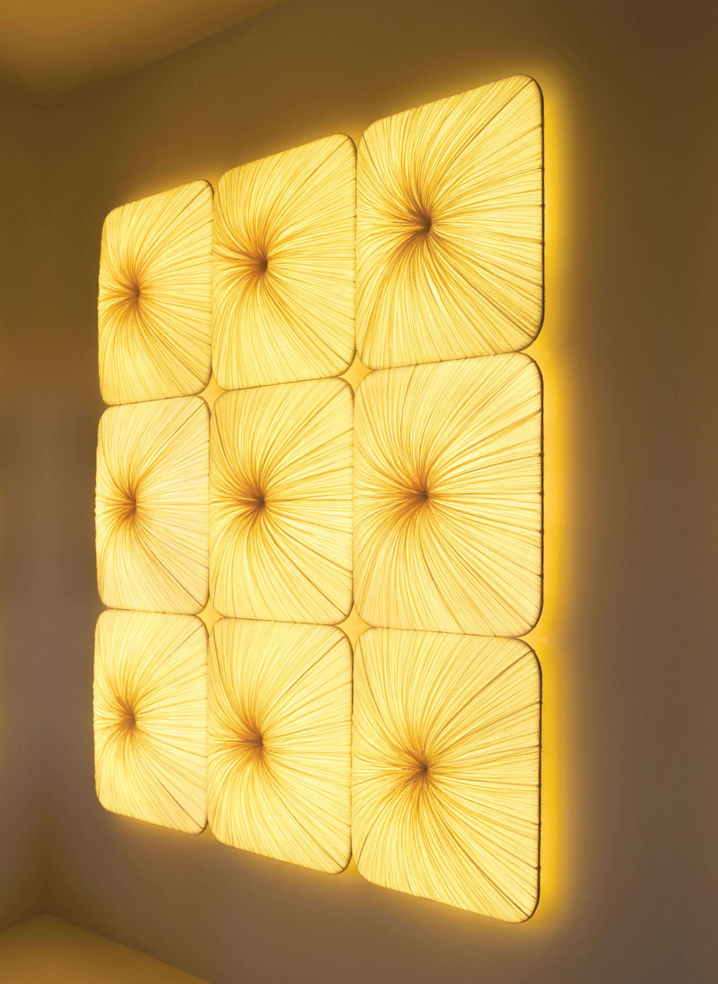 Young Wall & Ceiling Light