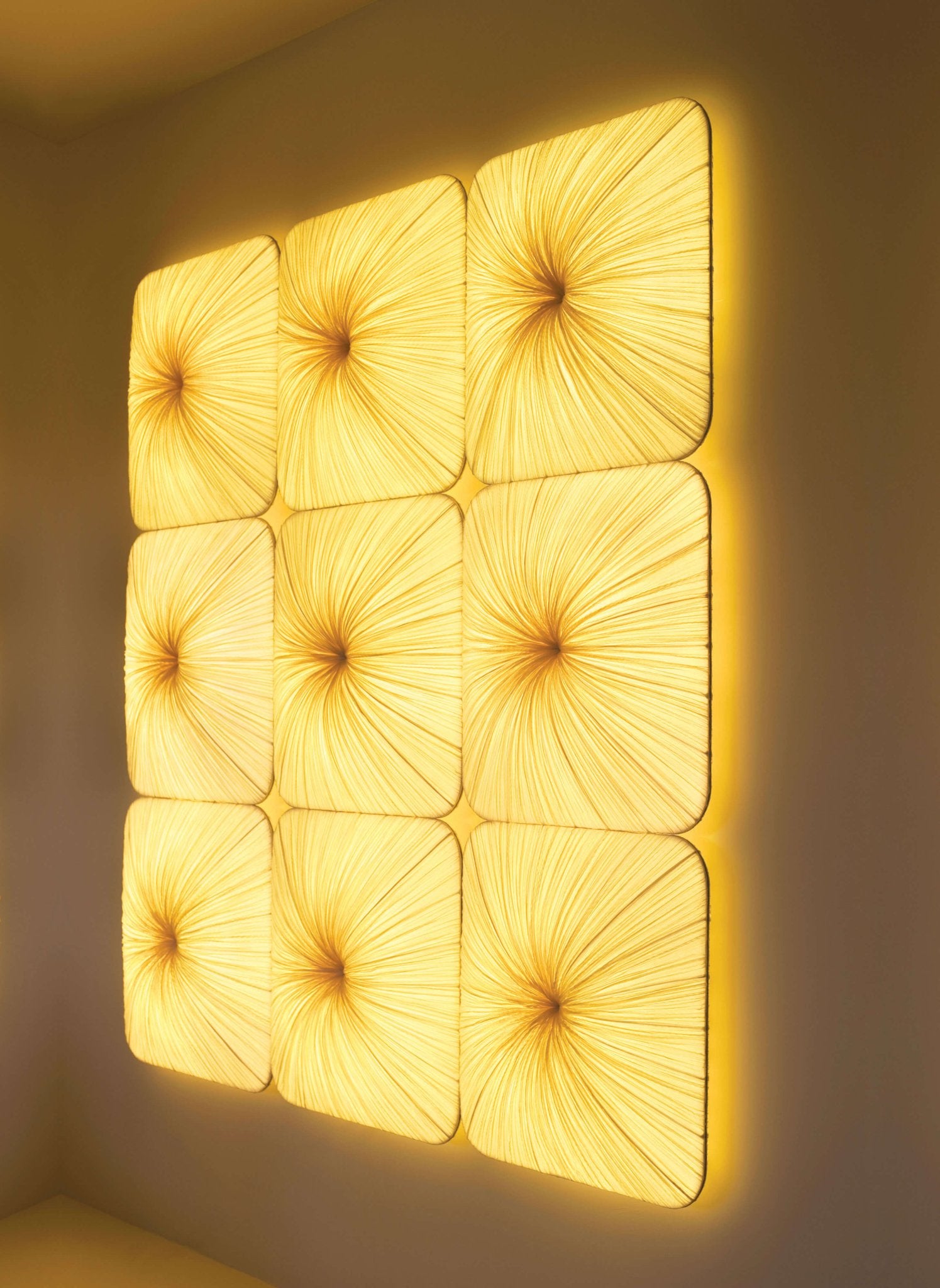 Young Wall & Ceiling Light