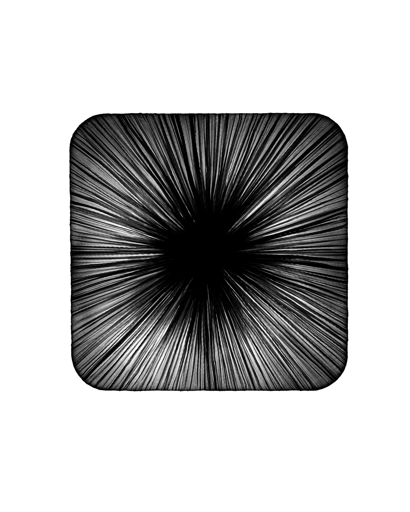 Young Wall & Ceiling Light