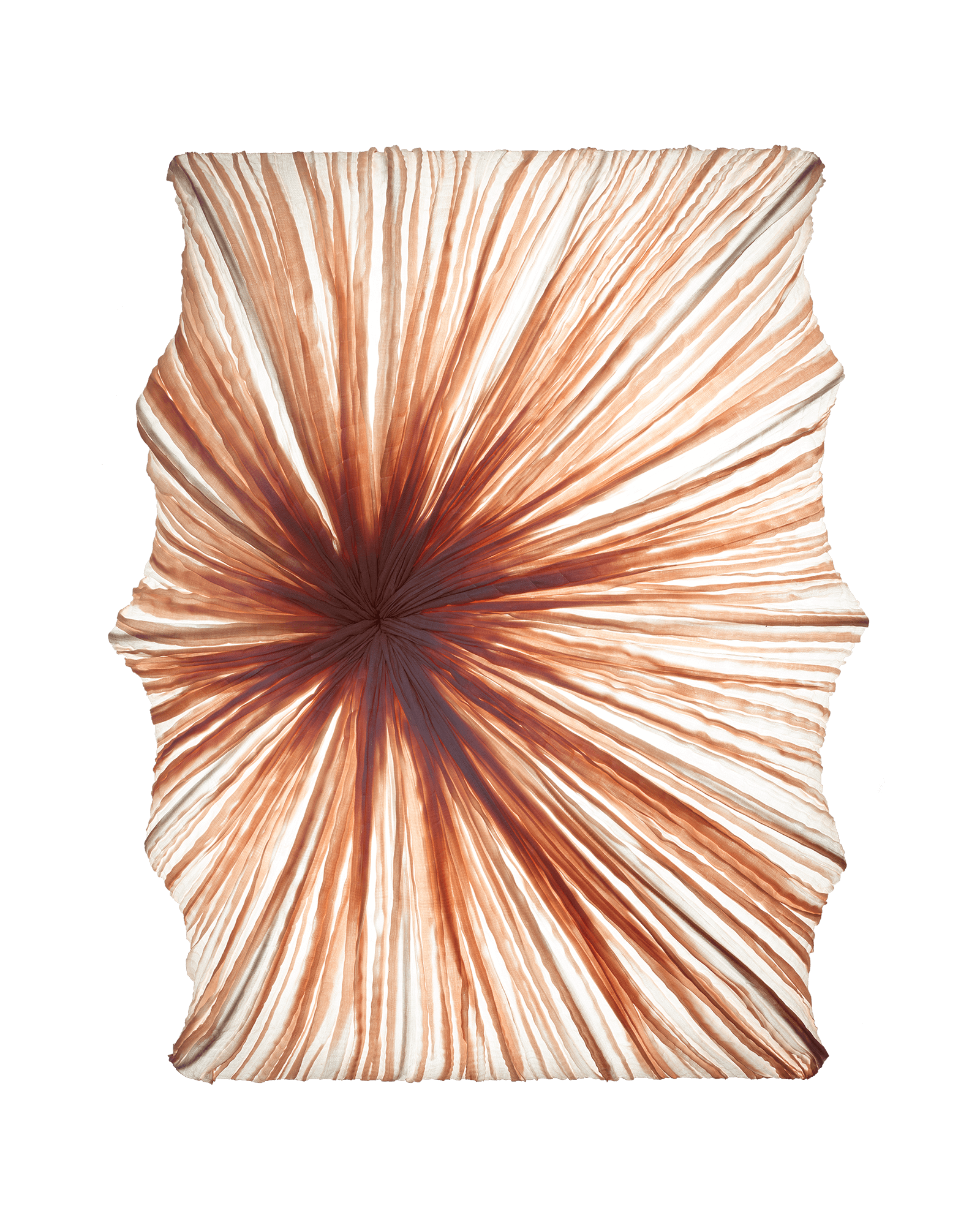 Zika Wall & Ceiling Light