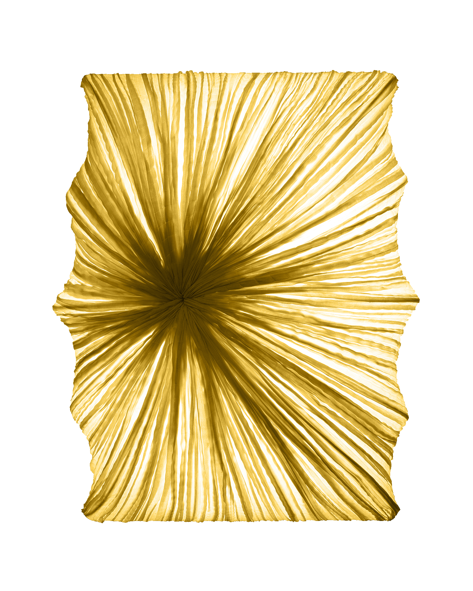 Zika Wall & Ceiling Light