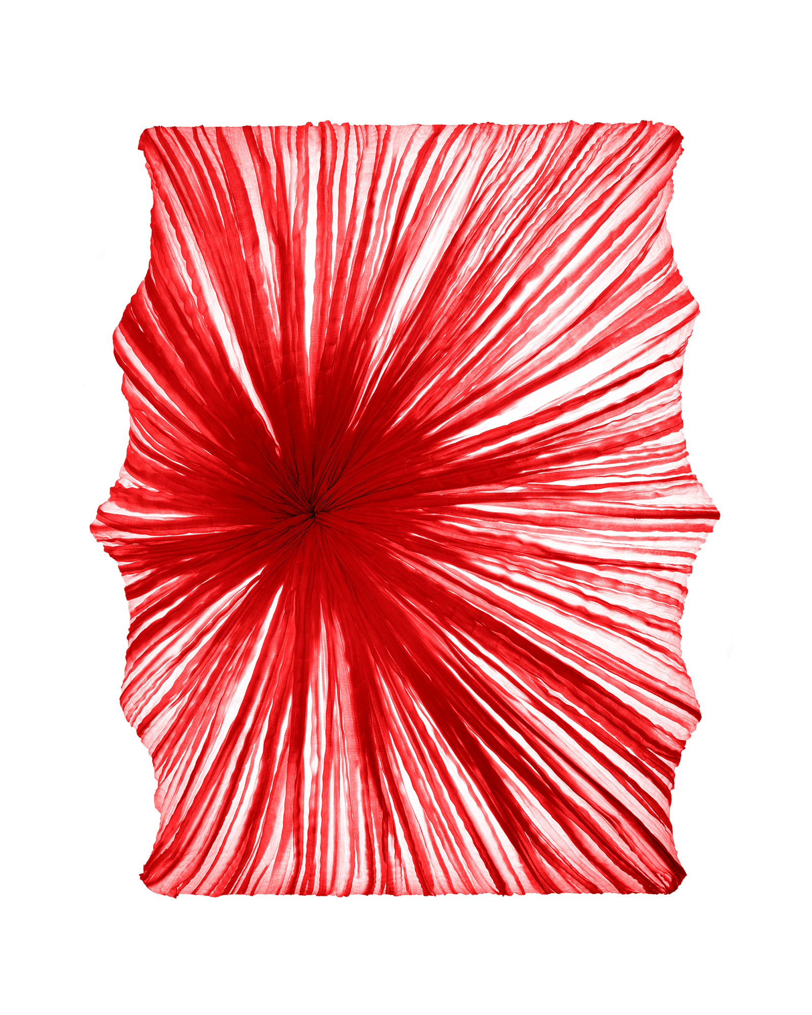 Zika Wall & Ceiling Light