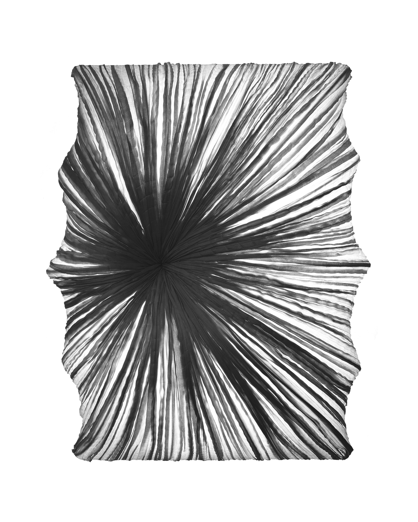 Zika Wall & Ceiling Light