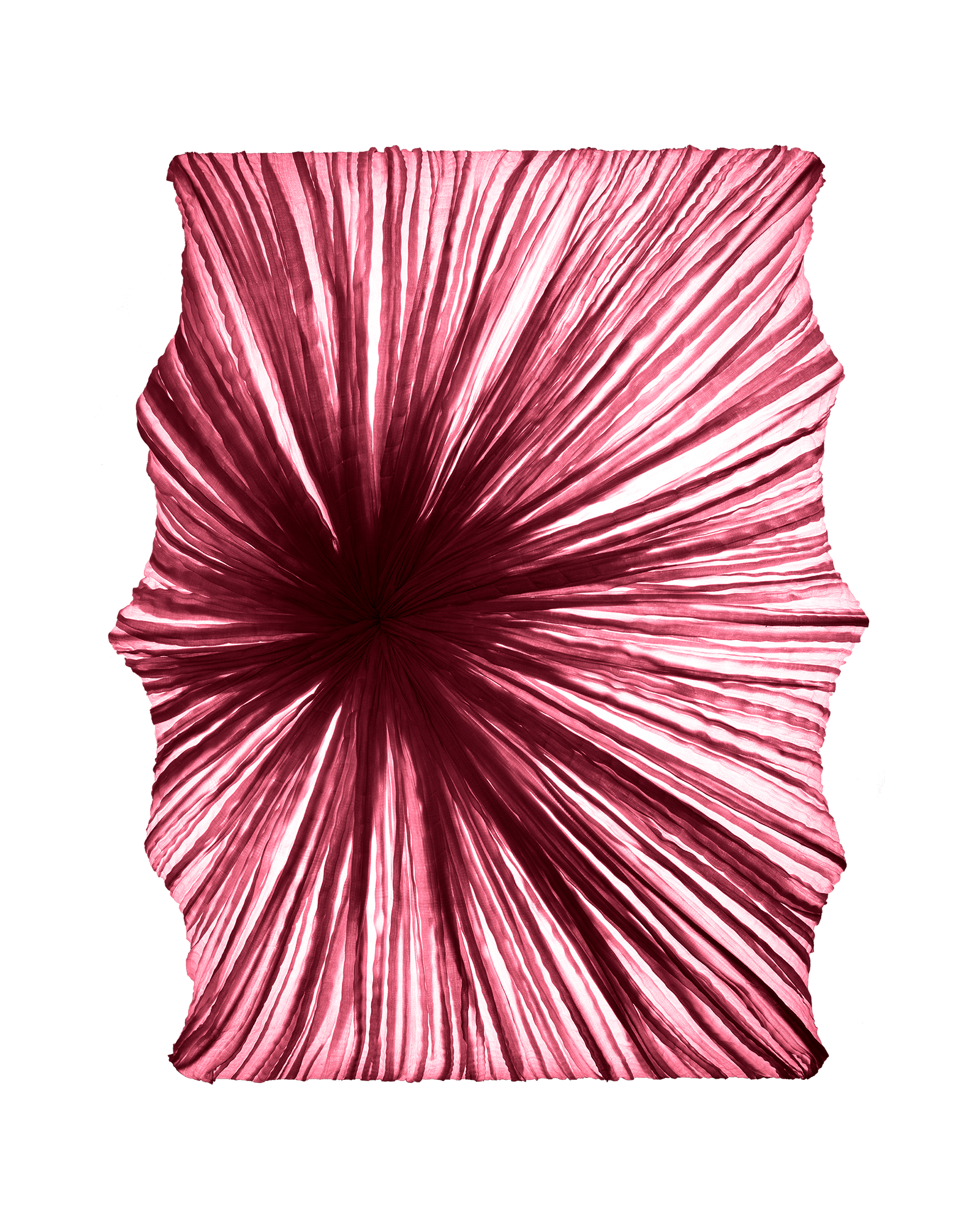 Zika Wall & Ceiling Light