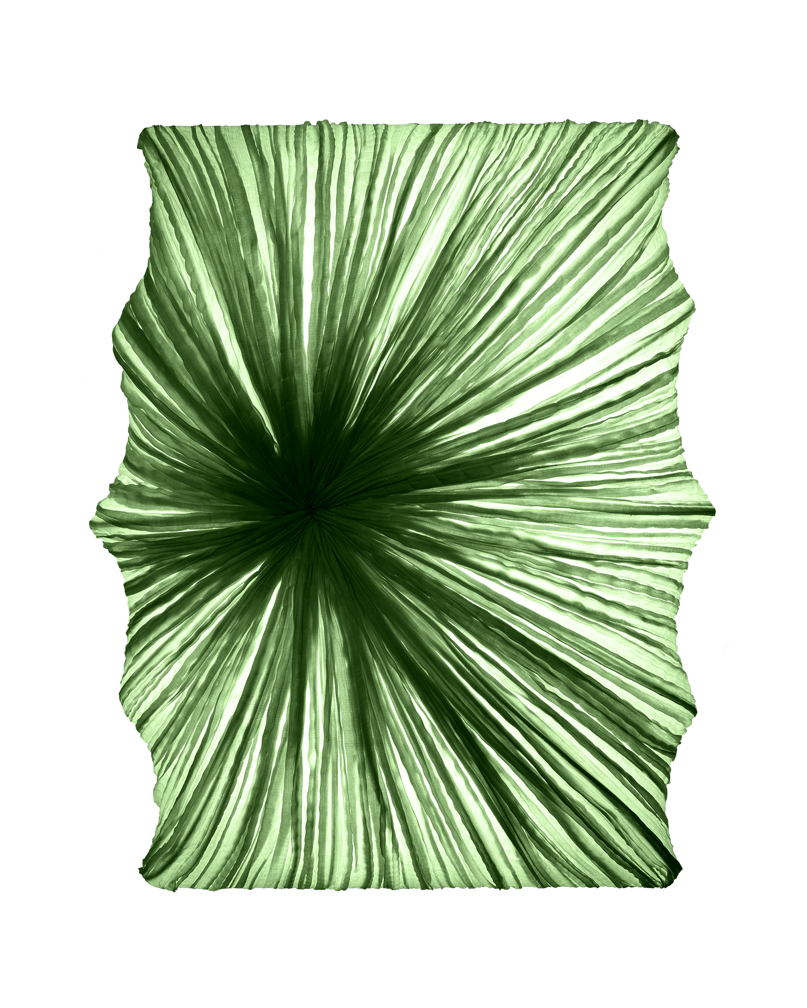 Zika Wall & Ceiling Light