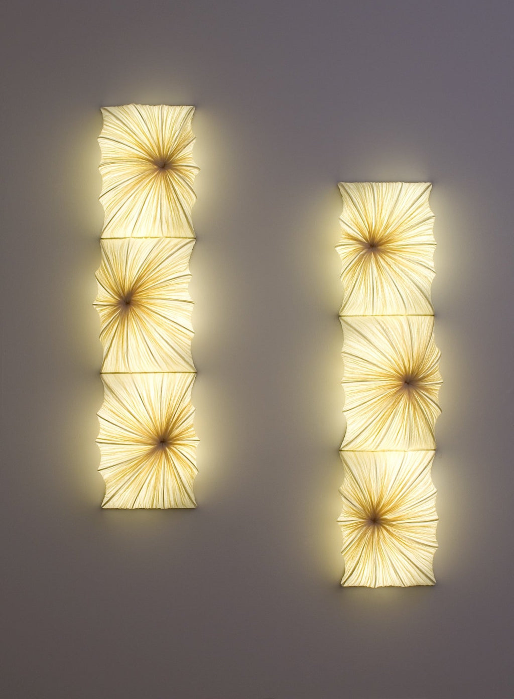 Zika Wall & Ceiling Light