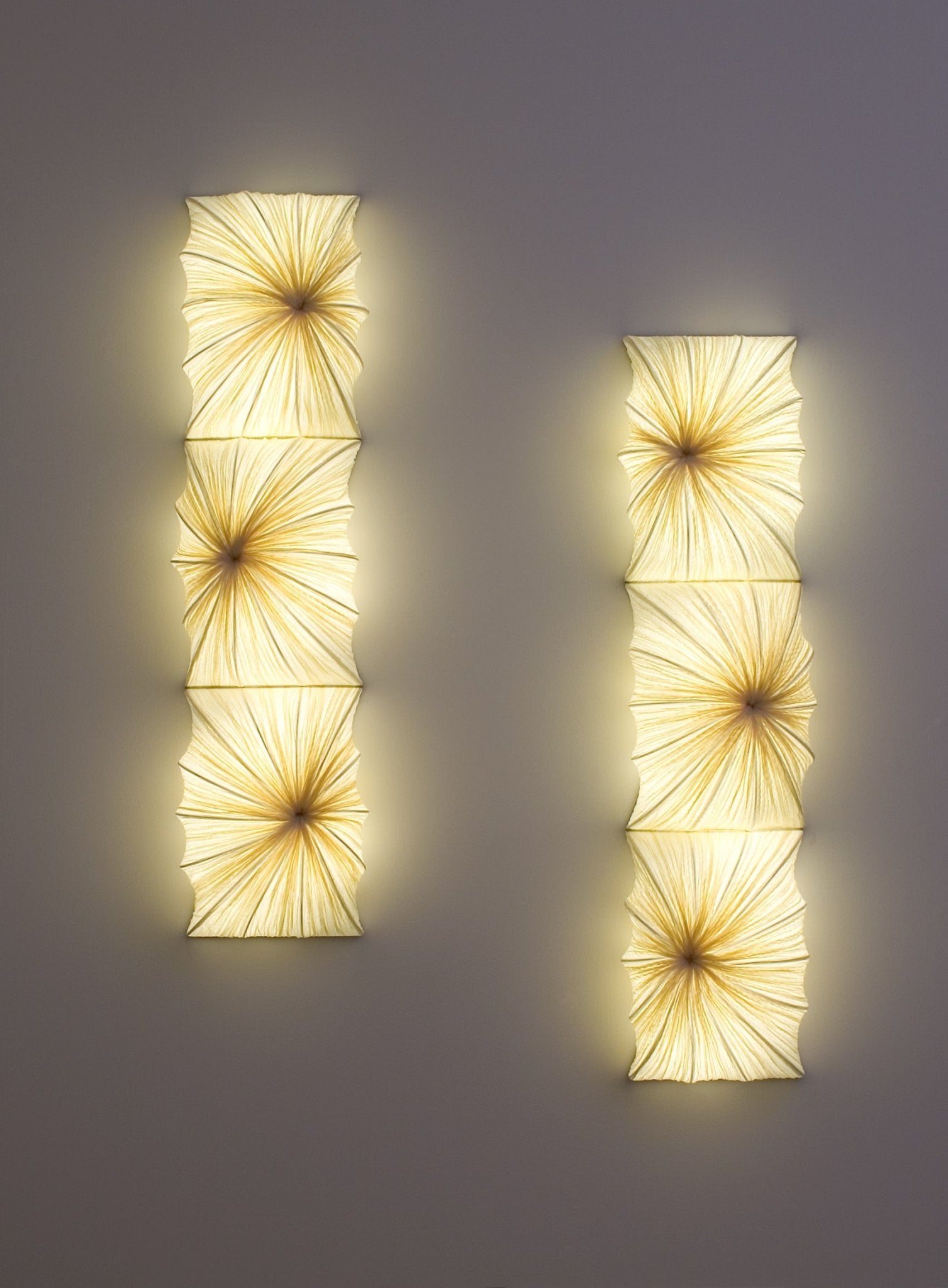 Zika Wall & Ceiling Light