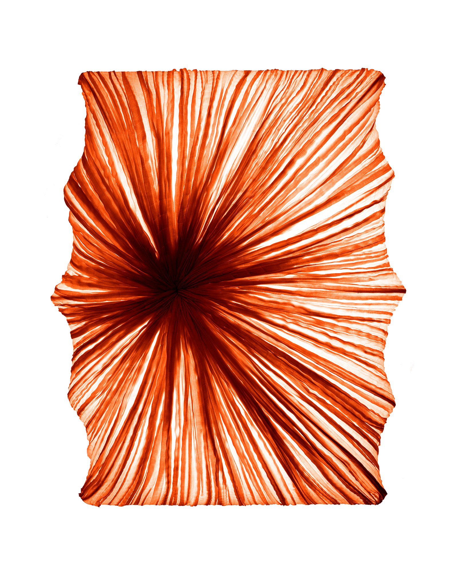 Zika Wall & Ceiling Light