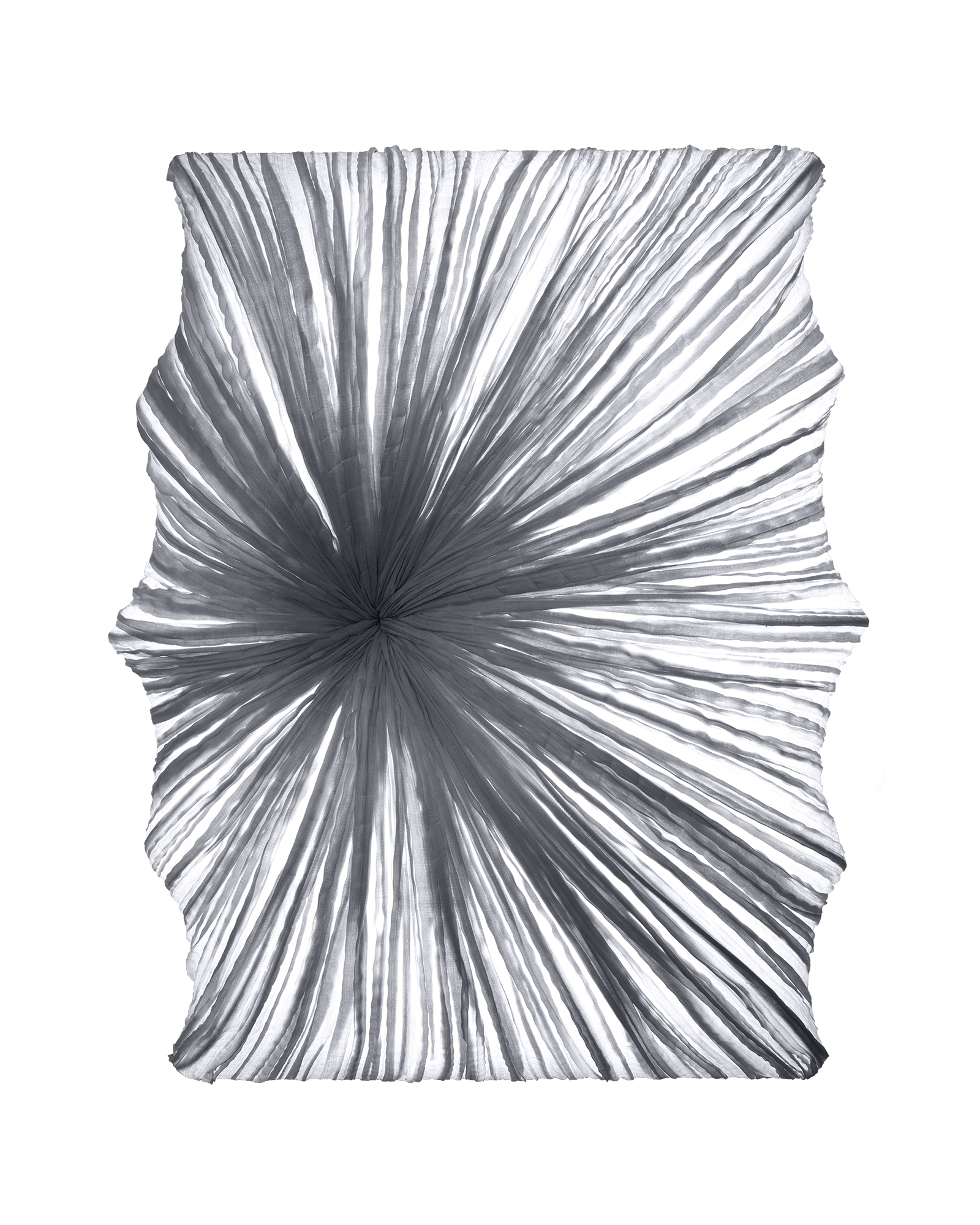 Zika Wall & Ceiling Light