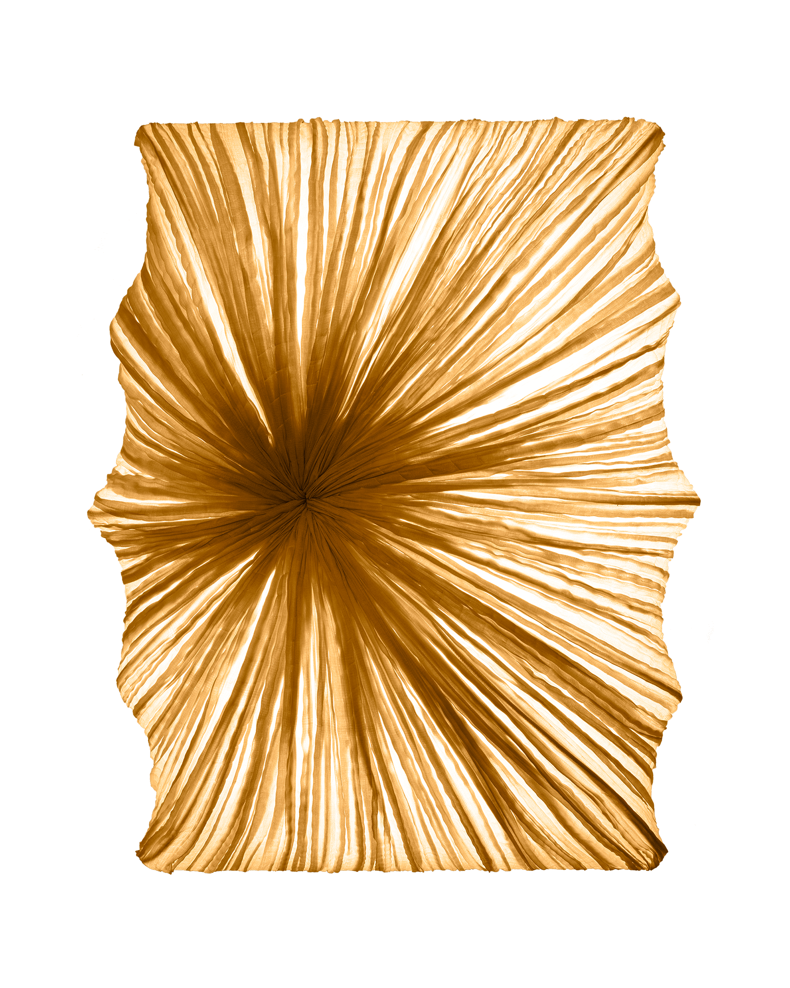 Zika Wall & Ceiling Light