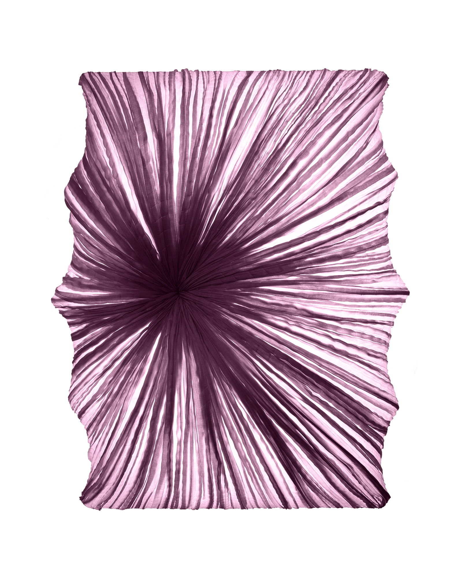 Zika Wall & Ceiling Light