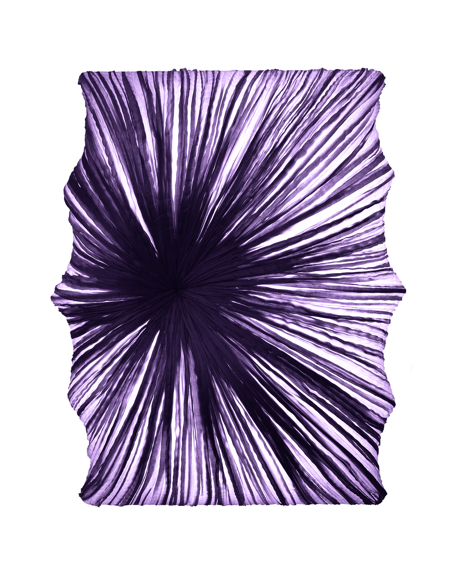 Zika Wall & Ceiling Light