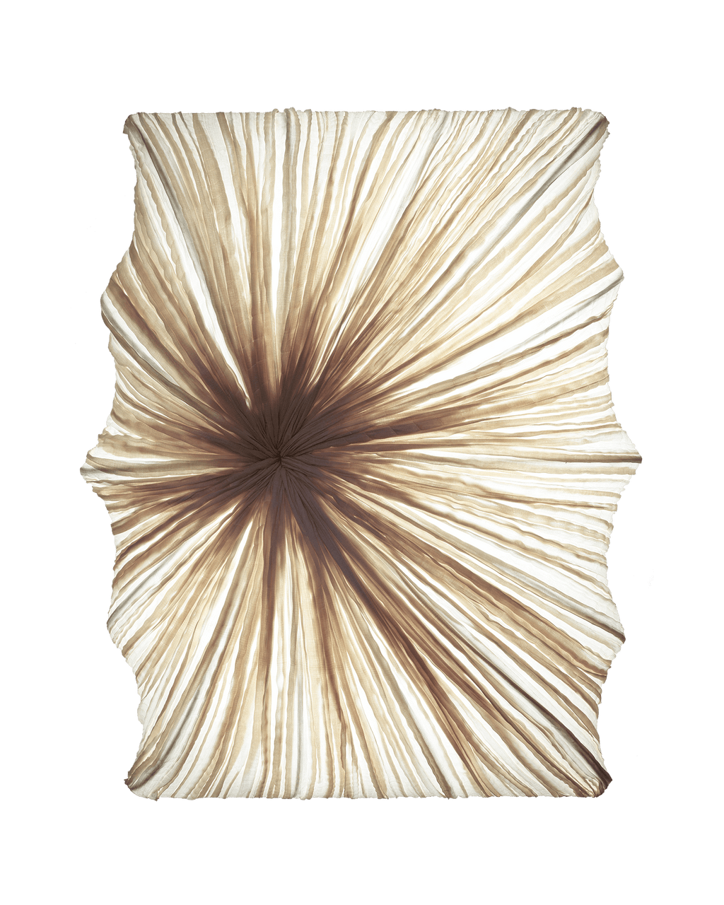 Zika Wall & Ceiling Light