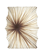 Zika Wall & Ceiling Light