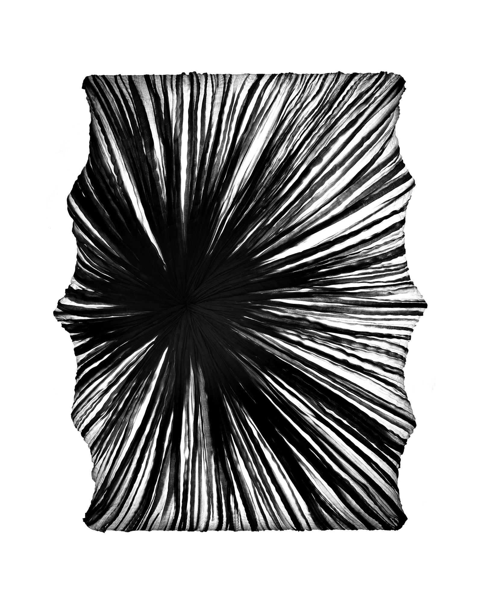 Zika Wall & Ceiling Light