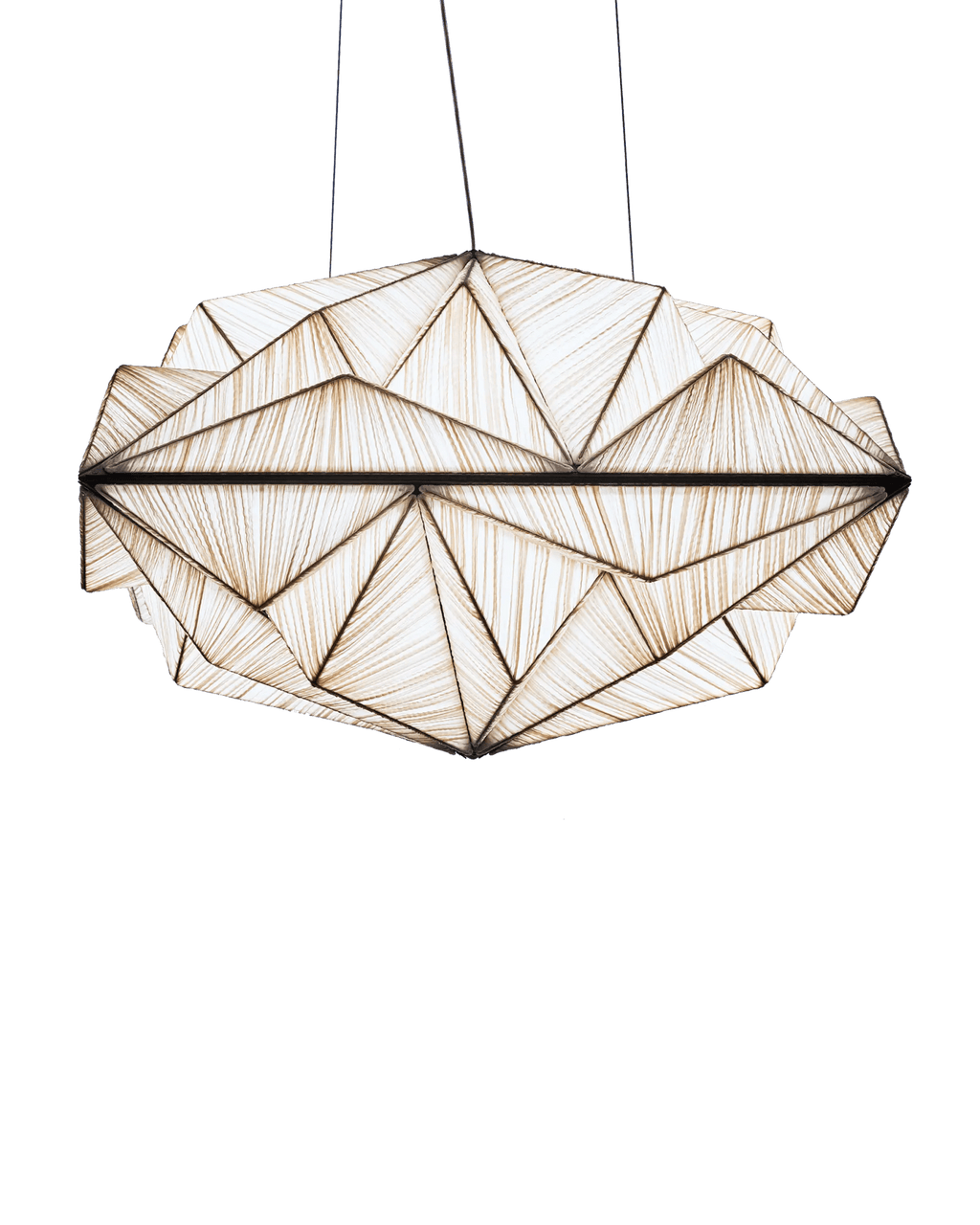 Zooid 1M Pendant Light