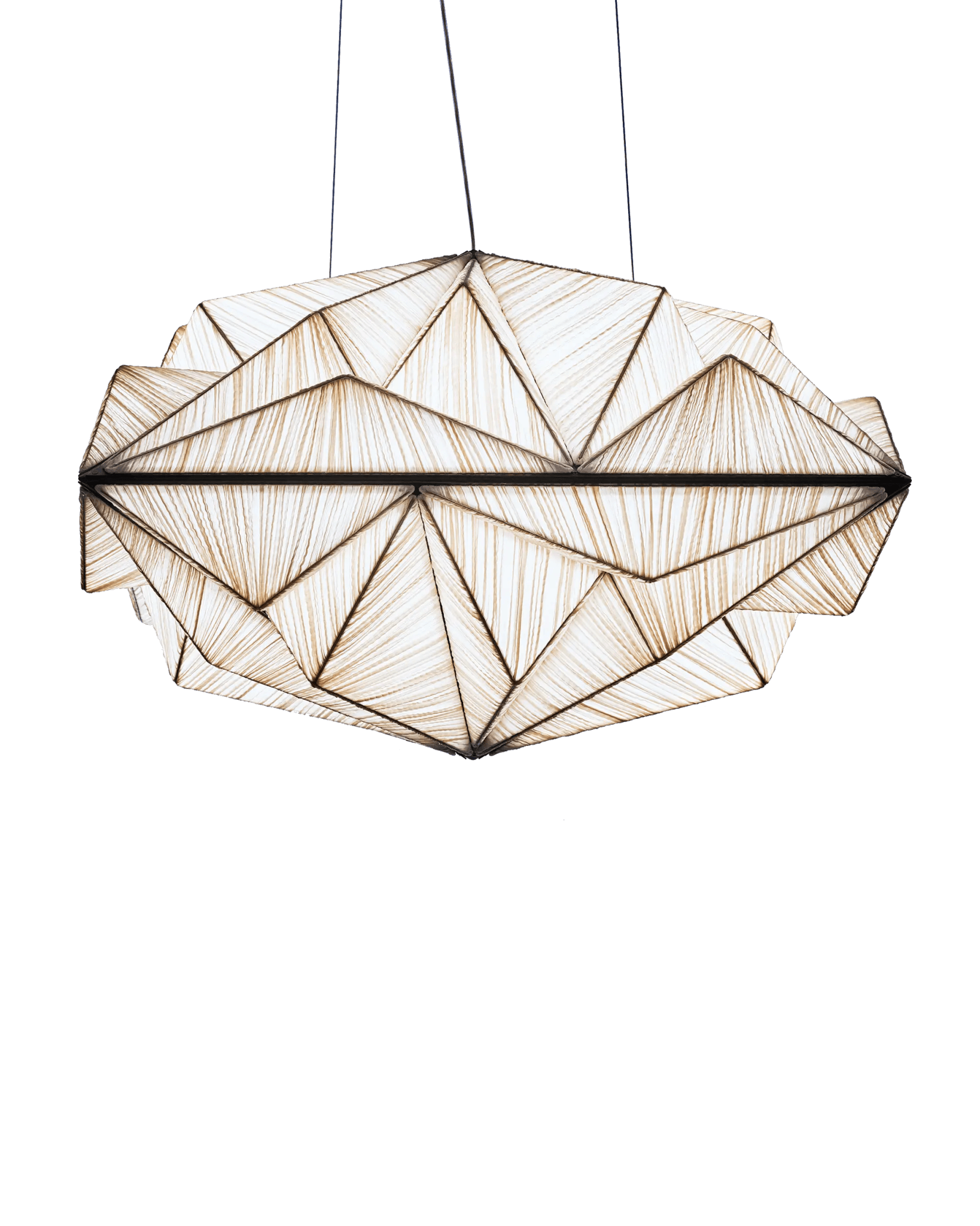 Zooid 1M Pendant Light