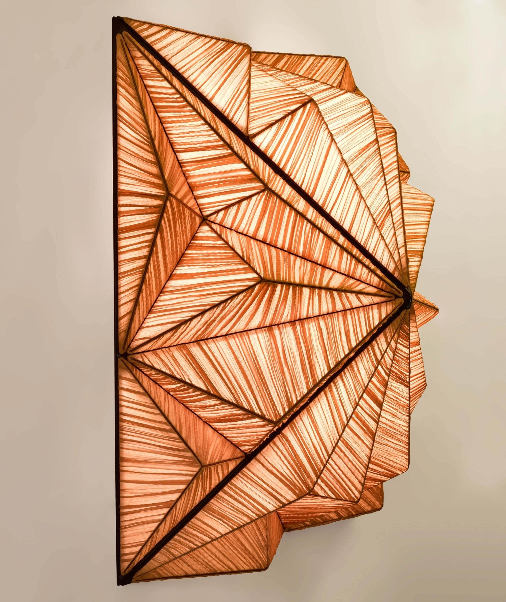 Zooid 1M Wall & Ceiling Light