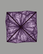 Zooid 1M Wall & Ceiling Light in Dark silk color