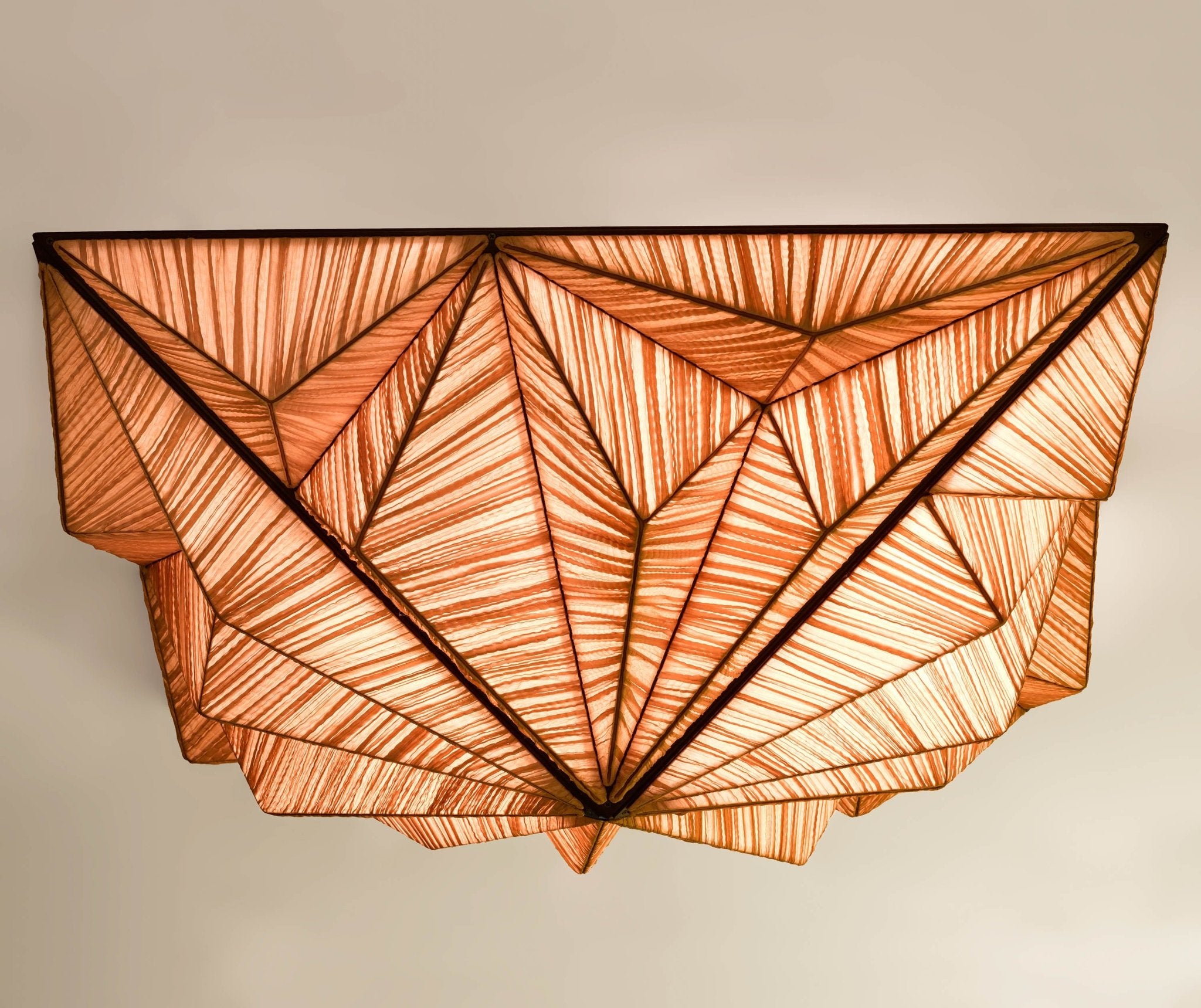 Zooid 1M Wall & Ceiling Light