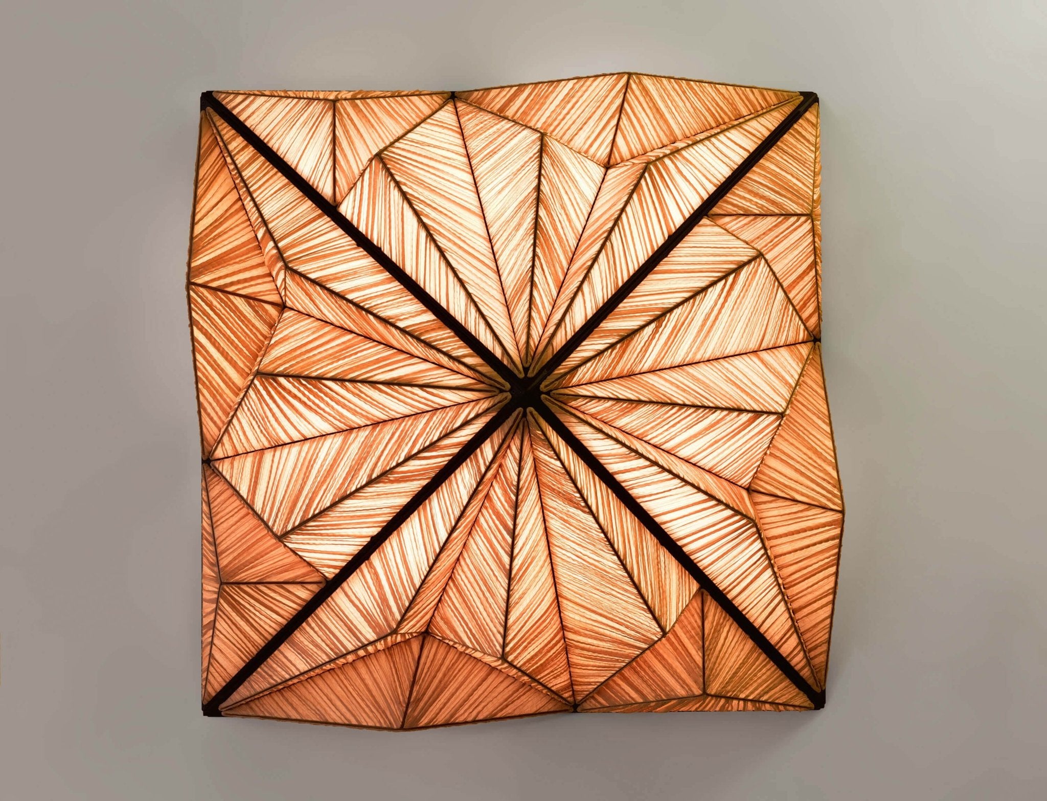 Zooid 1M Wall & Ceiling Light