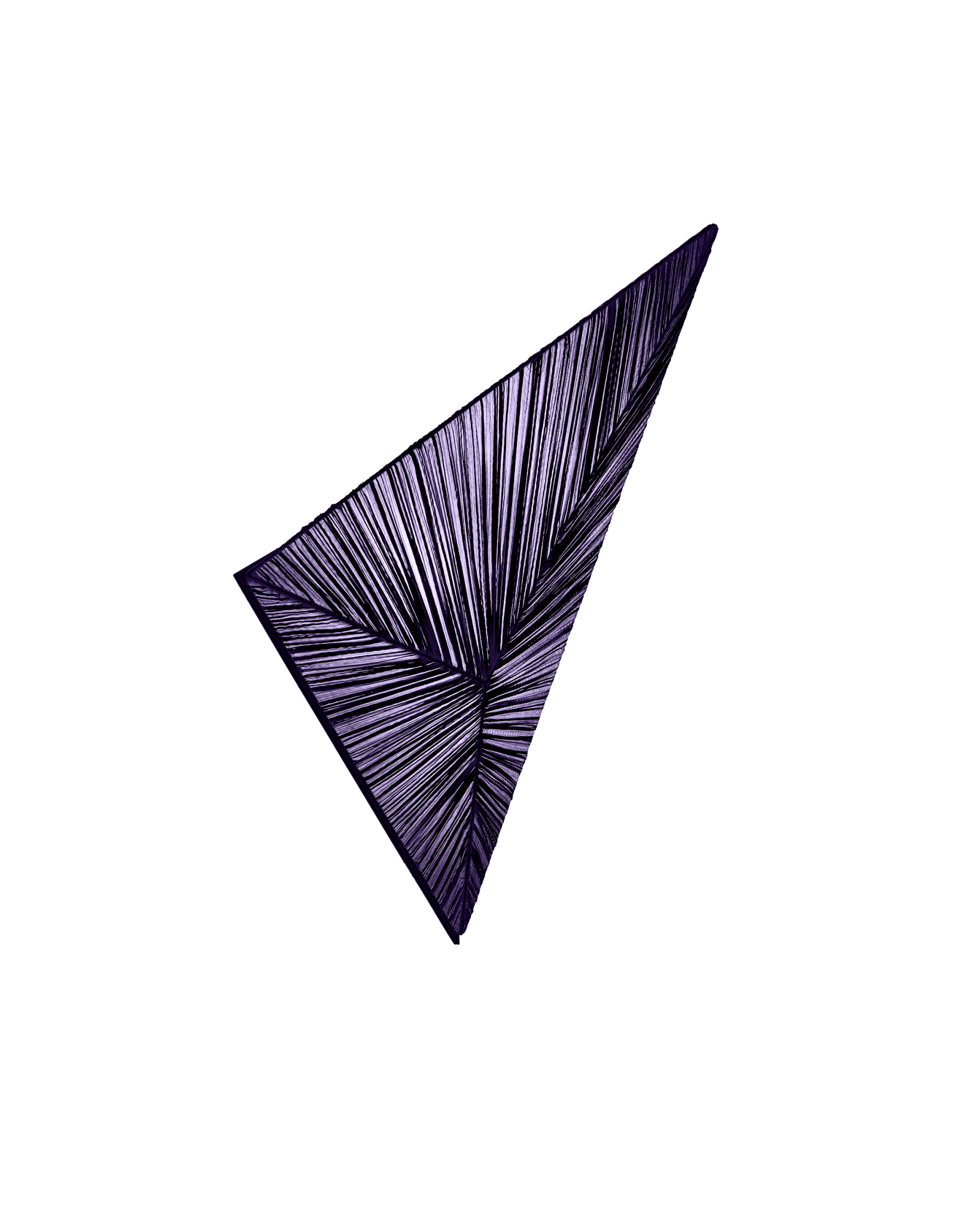 Zooid Wall & Ceiling Light