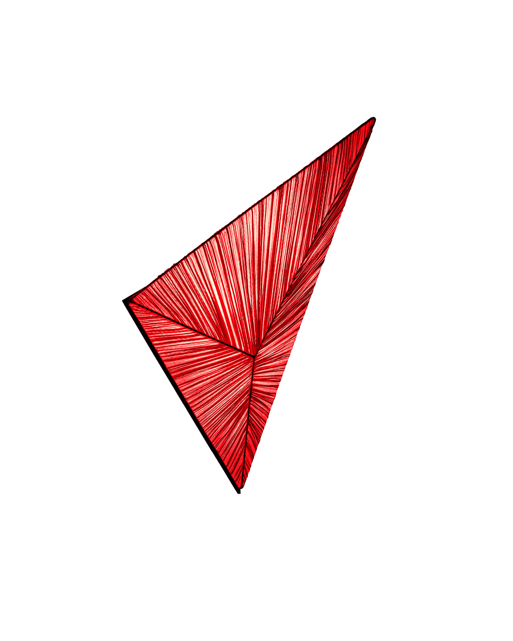 Zooid Wall & Ceiling Light