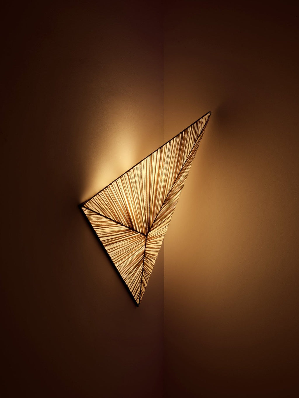 Zooid Wall & Ceiling Light