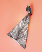 Zooid Wall & Ceiling Light