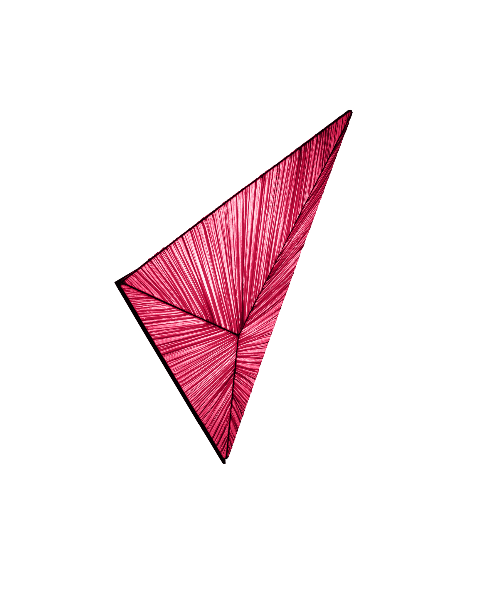 Zooid Wall & Ceiling Light